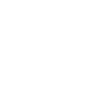 REMAX 100% club logo